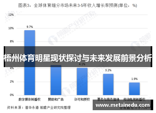 梧州体育明星现状探讨与未来发展前景分析