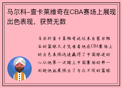 马尔科-查卡莱维奇在CBA赛场上展现出色表现，获赞无数