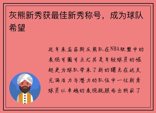 灰熊新秀获最佳新秀称号，成为球队希望